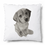 鉛筆画クッション