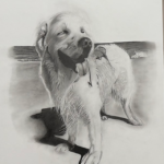 横浜サイネージパトちゃん